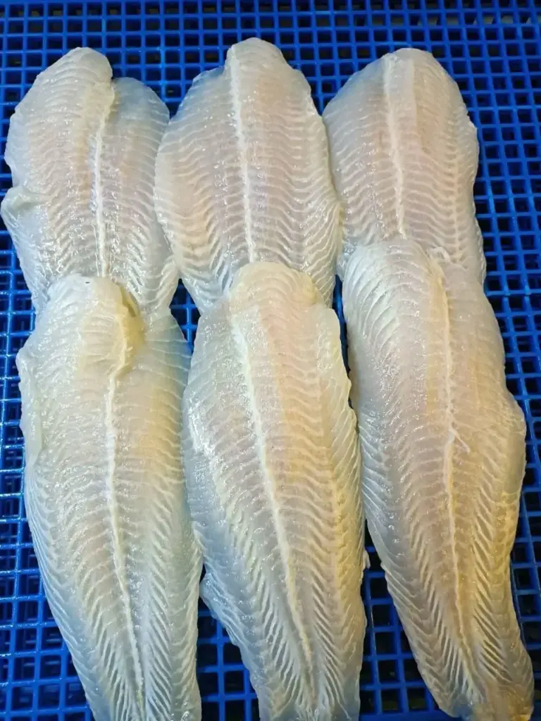 BASA SOLID 70% 2 KG PACK